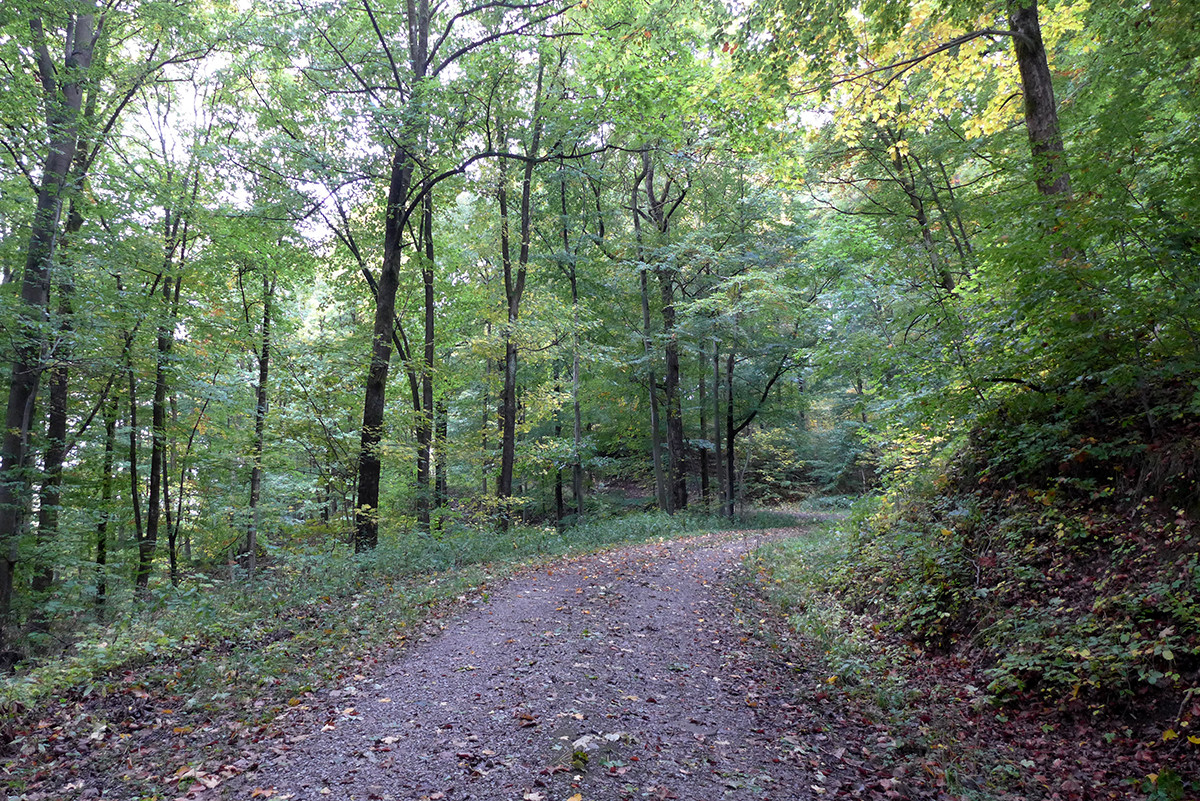 Klicke auf die Grafik für eine vergrößerte Ansicht  Name: Weserberglandweg_714.jpg Ansichten: 26 Größe: 690,5 KB ID: 3346311