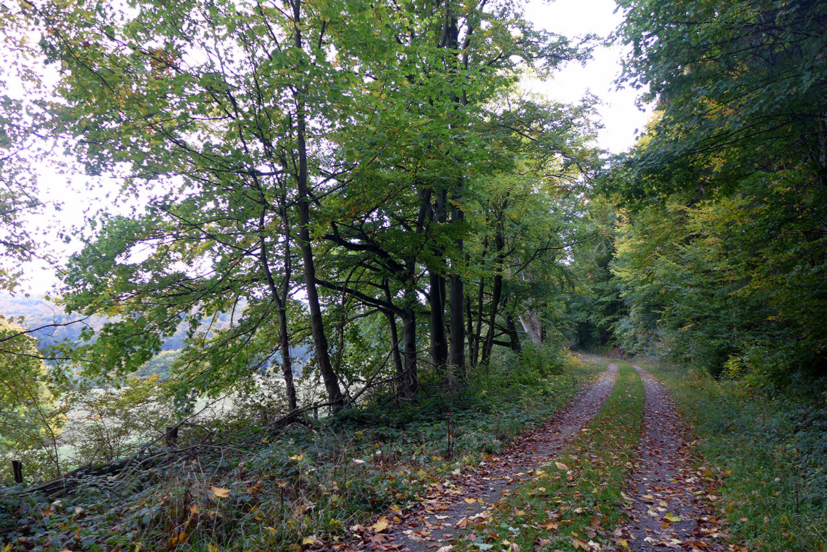 Klicke auf die Grafik für eine vergrößerte Ansicht  Name: Weserberglandweg_715.jpg Ansichten: 27 Größe: 698,7 KB ID: 3346312