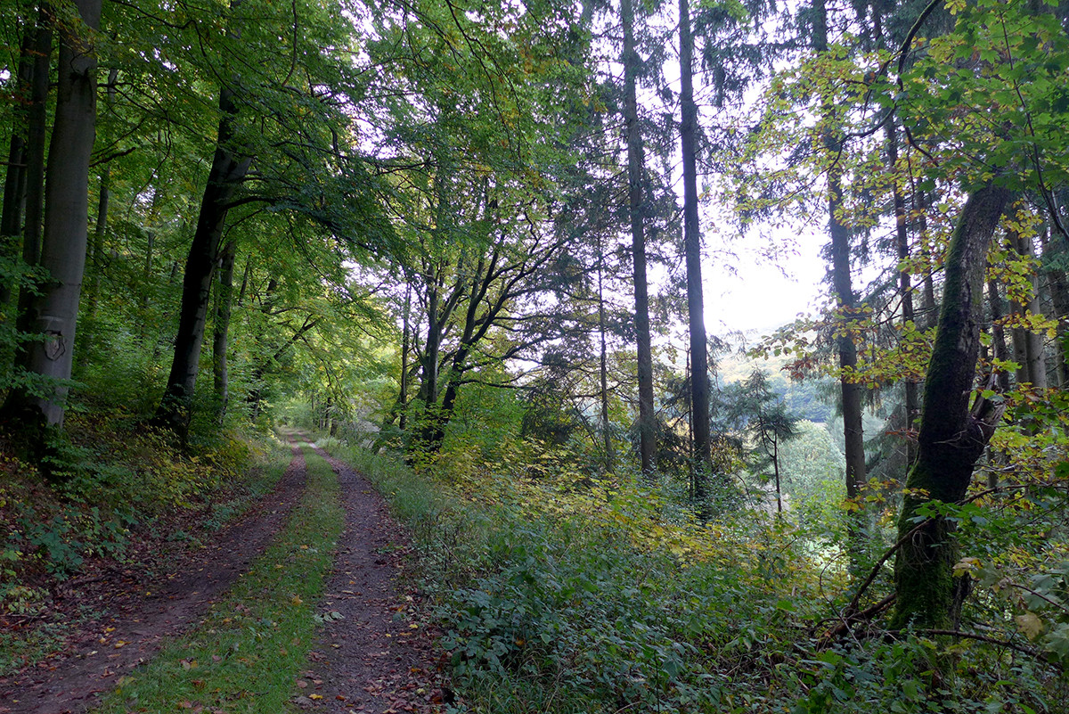 Klicke auf die Grafik für eine vergrößerte Ansicht  Name: Weserberglandweg_716.jpg Ansichten: 0 Größe: 656,4 KB ID: 3346344