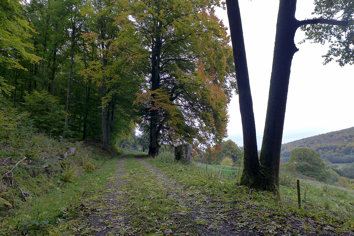 Klicke auf die Grafik für eine vergrößerte Ansicht  Name: Weserberglandweg_718.jpg Ansichten: 0 Größe: 561,7 KB ID: 3346345