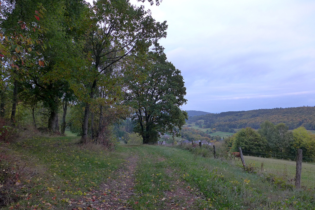 Klicke auf die Grafik für eine vergrößerte Ansicht  Name: Weserberglandweg_728.jpg Ansichten: 0 Größe: 431,4 KB ID: 3346353