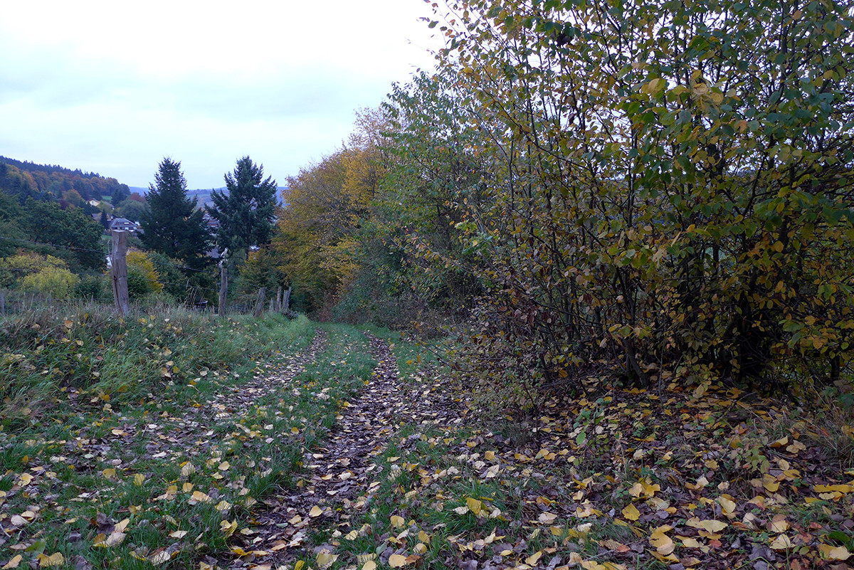 Klicke auf die Grafik für eine vergrößerte Ansicht  Name: Weserberglandweg_729.jpg Ansichten: 0 Größe: 605,0 KB ID: 3346356