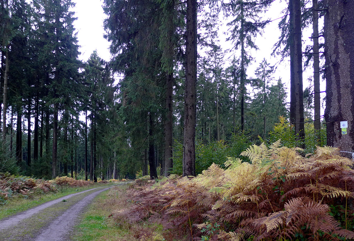Klicke auf die Grafik für eine vergrößerte Ansicht

Name: Weserberglandweg_740_a.jpg
Ansichten: 0
Größe: 599,7 KB
ID: 3347617