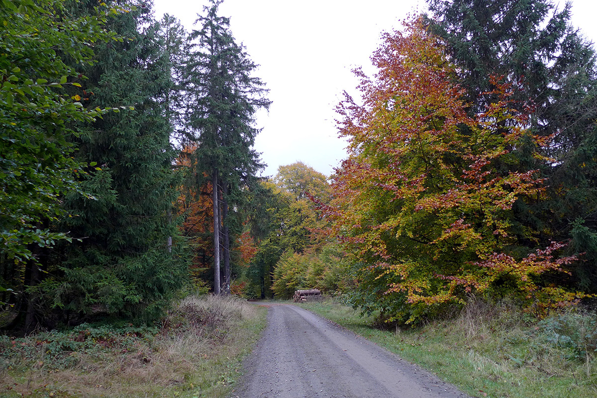 Klicke auf die Grafik für eine vergrößerte Ansicht

Name: Weserberglandweg_743_a.jpg
Ansichten: 0
Größe: 574,7 KB
ID: 3347620