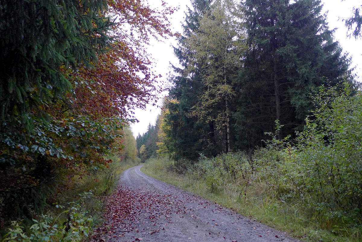 Klicke auf die Grafik für eine vergrößerte Ansicht

Name: Weserberglandweg_744_a.jpg
Ansichten: 0
Größe: 534,6 KB
ID: 3347621