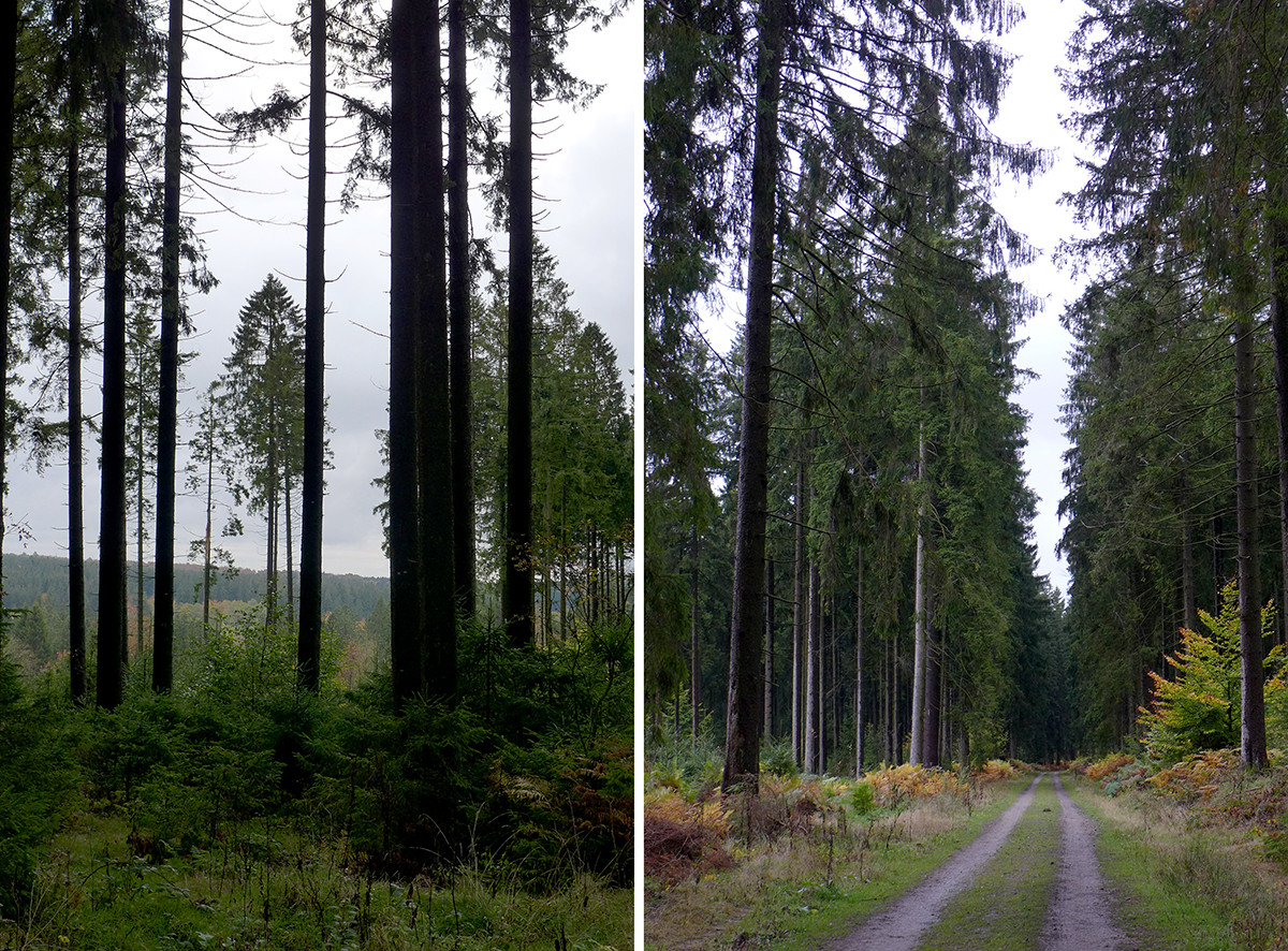 Klicke auf die Grafik für eine vergrößerte Ansicht

Name: Weserberglandweg_746_a.jpg
Ansichten: 0
Größe: 573,6 KB
ID: 3347623