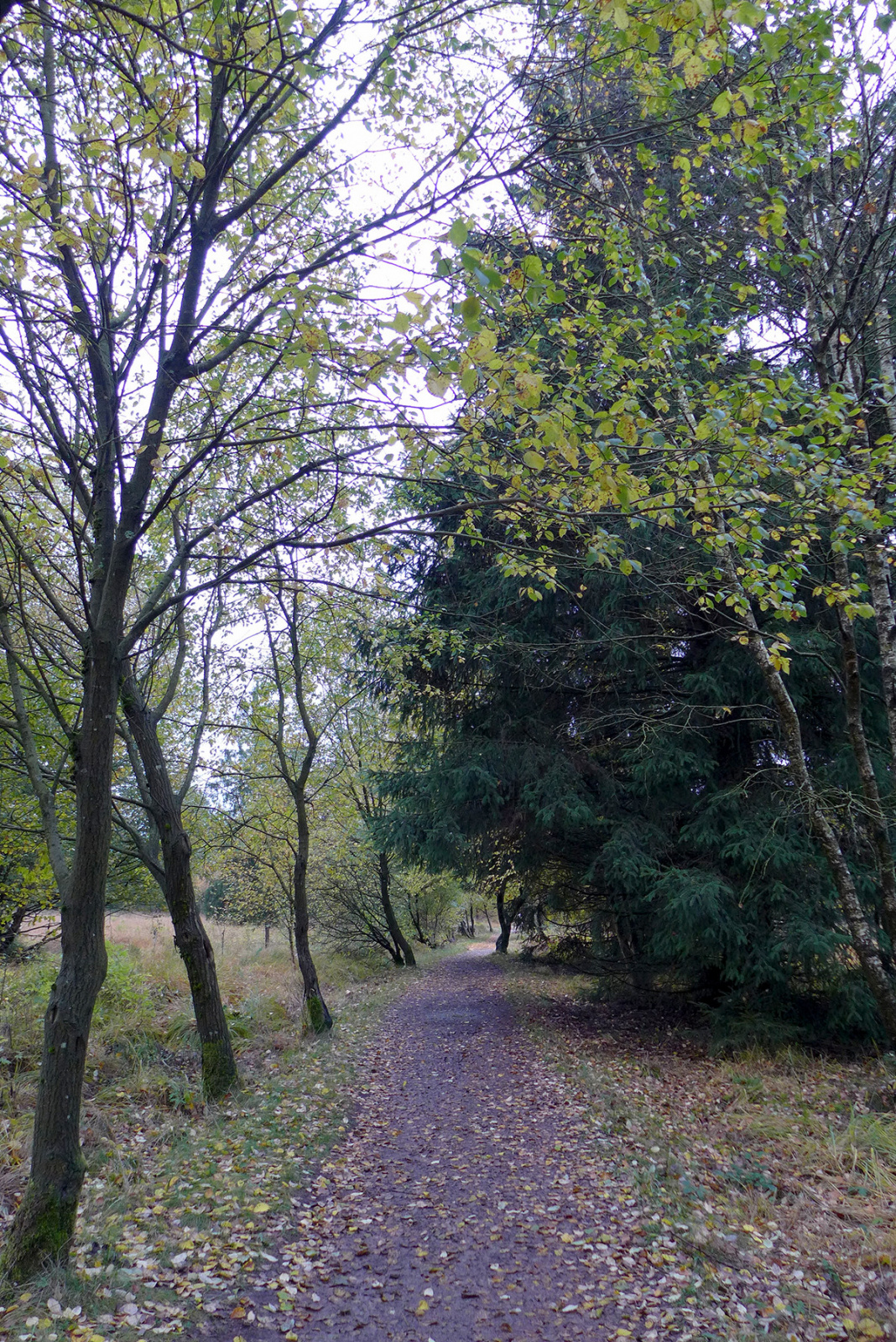 Klicke auf die Grafik für eine vergrößerte Ansicht

Name: Weserberglandweg_749_a.jpg
Ansichten: 0
Größe: 1,41 MB
ID: 3347626