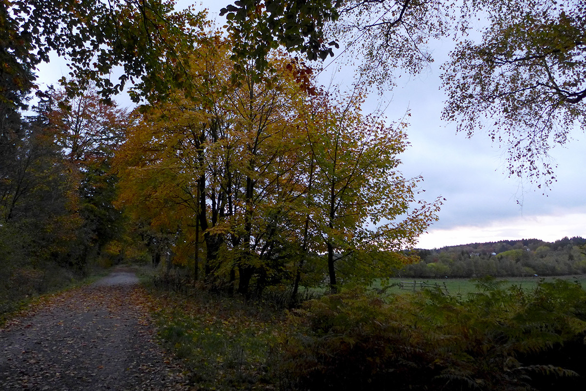 Klicke auf die Grafik für eine vergrößerte Ansicht

Name: Weserberglandweg_751_a.jpg
Ansichten: 0
Größe: 562,4 KB
ID: 3347628