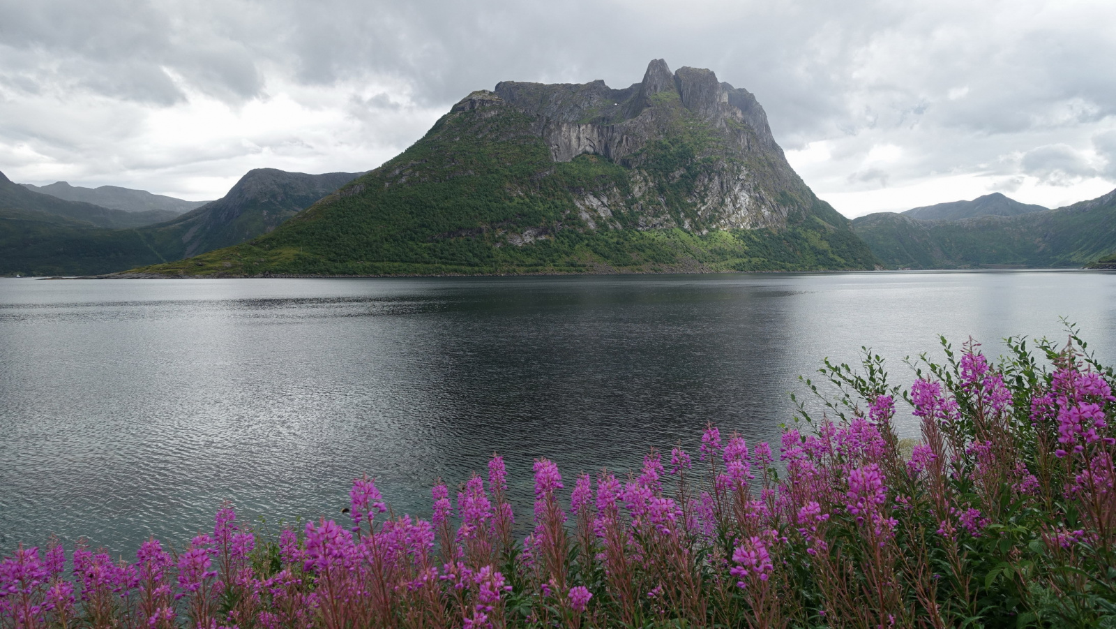 Klicke auf die Grafik für eine vergrößerte Ansicht

Name: 2025 Norge 0250.jpg
Ansichten: 175
Größe: 702,1 KB
ID: 3347656