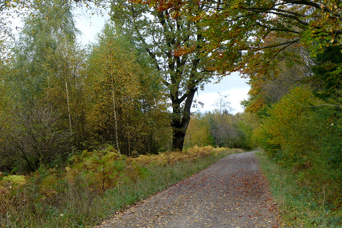 Klicke auf die Grafik für eine vergrößerte Ansicht

Name: Weserberglandweg_732_a.jpg
Ansichten: 0
Größe: 656,3 KB
ID: 3347609