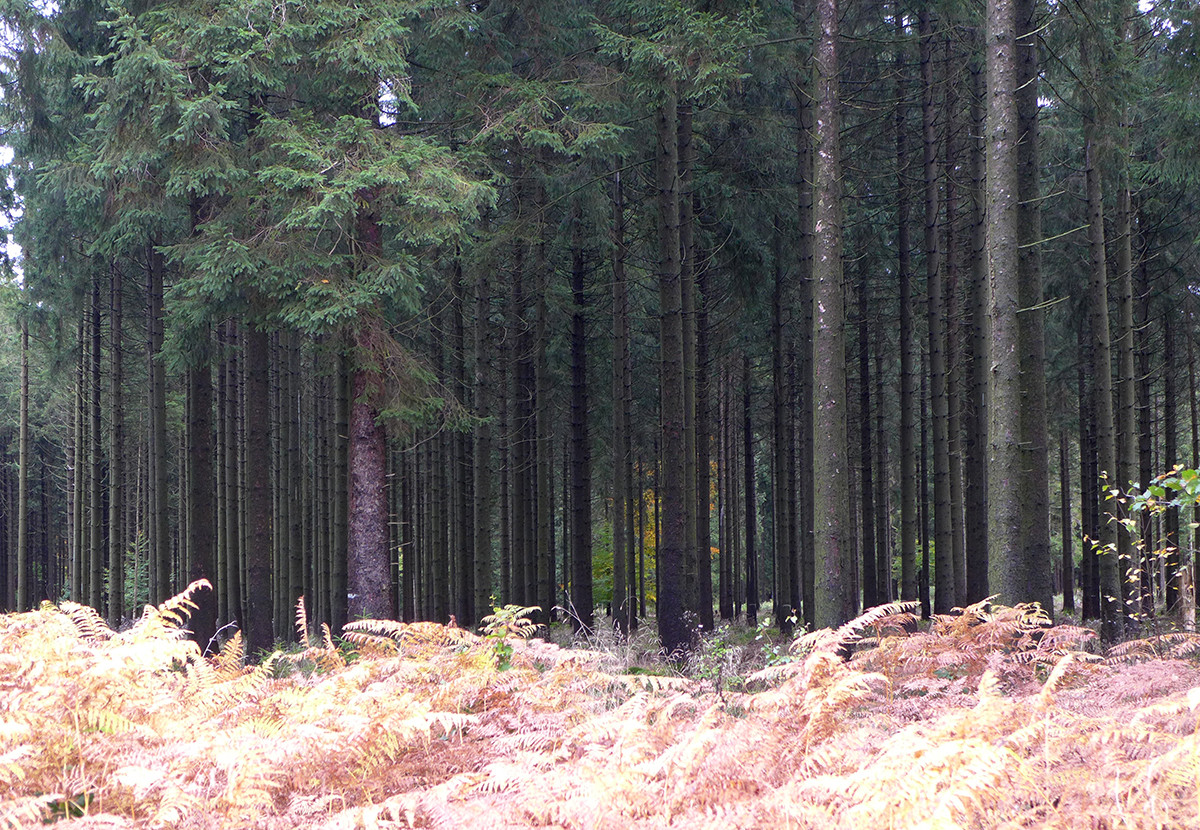Klicke auf die Grafik für eine vergrößerte Ansicht

Name: Weserberglandweg_733_a.jpg
Ansichten: 0
Größe: 554,8 KB
ID: 3347610