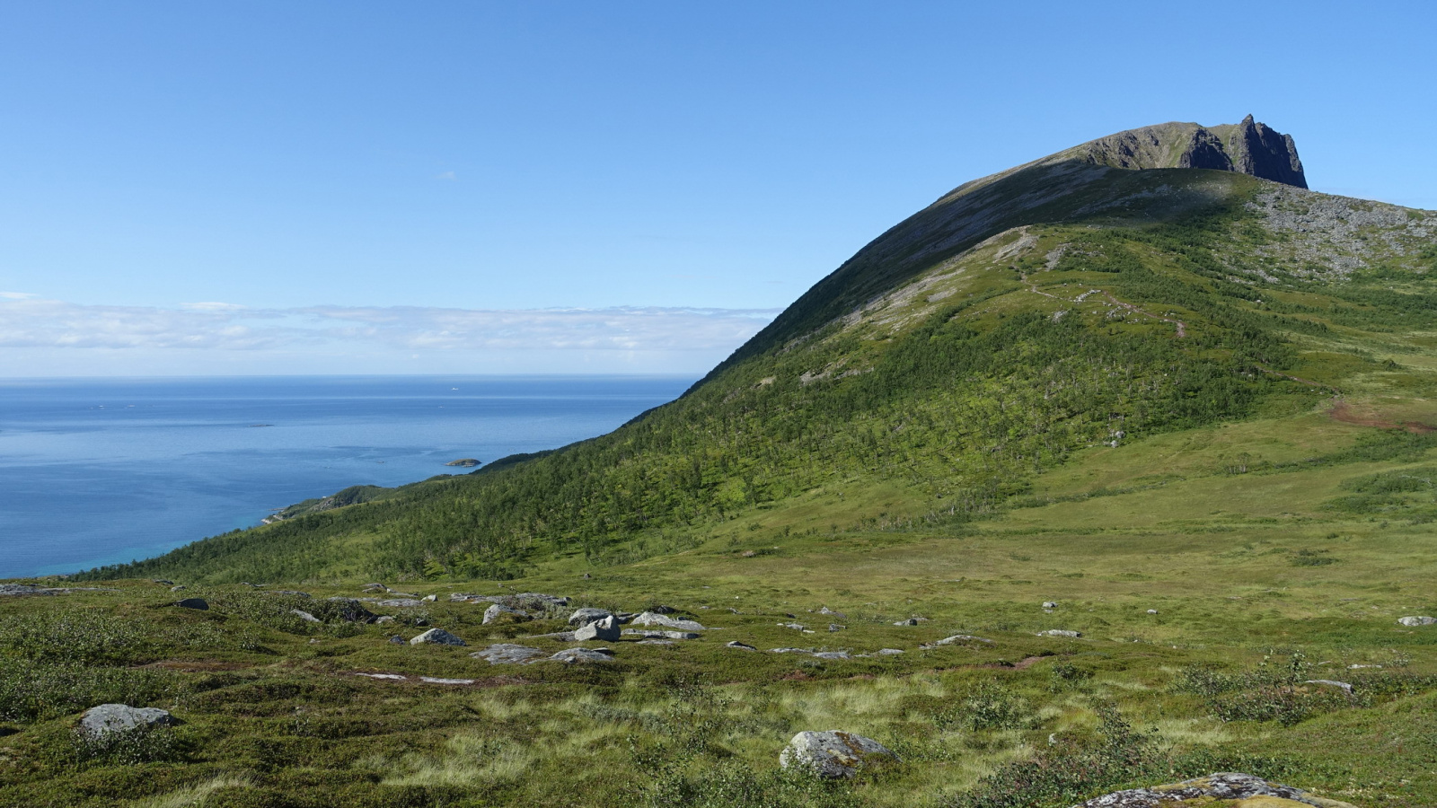 Klicke auf die Grafik für eine vergrößerte Ansicht

Name: 2025 Norge 0277.jpg
Ansichten: 170
Größe: 651,1 KB
ID: 3347662