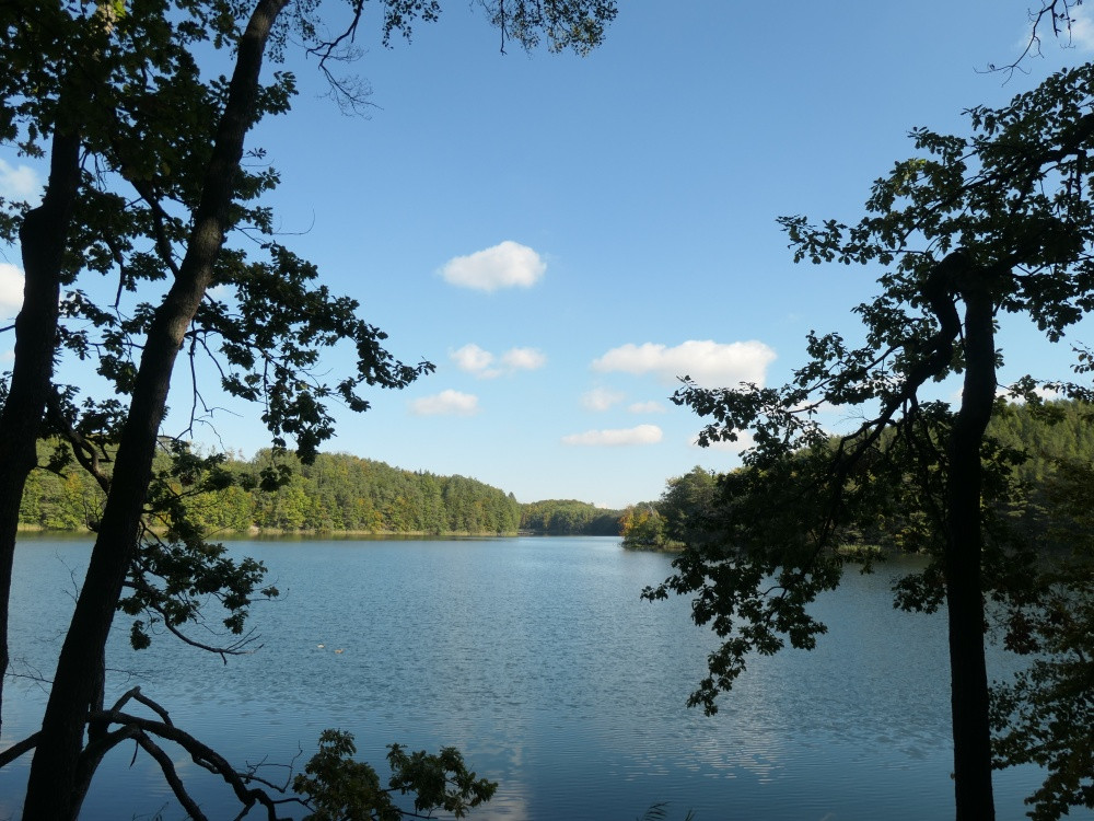 Klicke auf die Grafik für eine vergrößerte Ansicht

Name: PANA6493_kl.jpg
Ansichten: 314
Größe: 266,7 KB
ID: 3347811