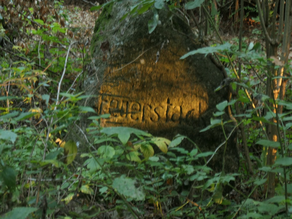 Klicke auf die Grafik für eine vergrößerte Ansicht

Name: PANA6505_kl.jpg
Ansichten: 315
Größe: 264,2 KB
ID: 3347807