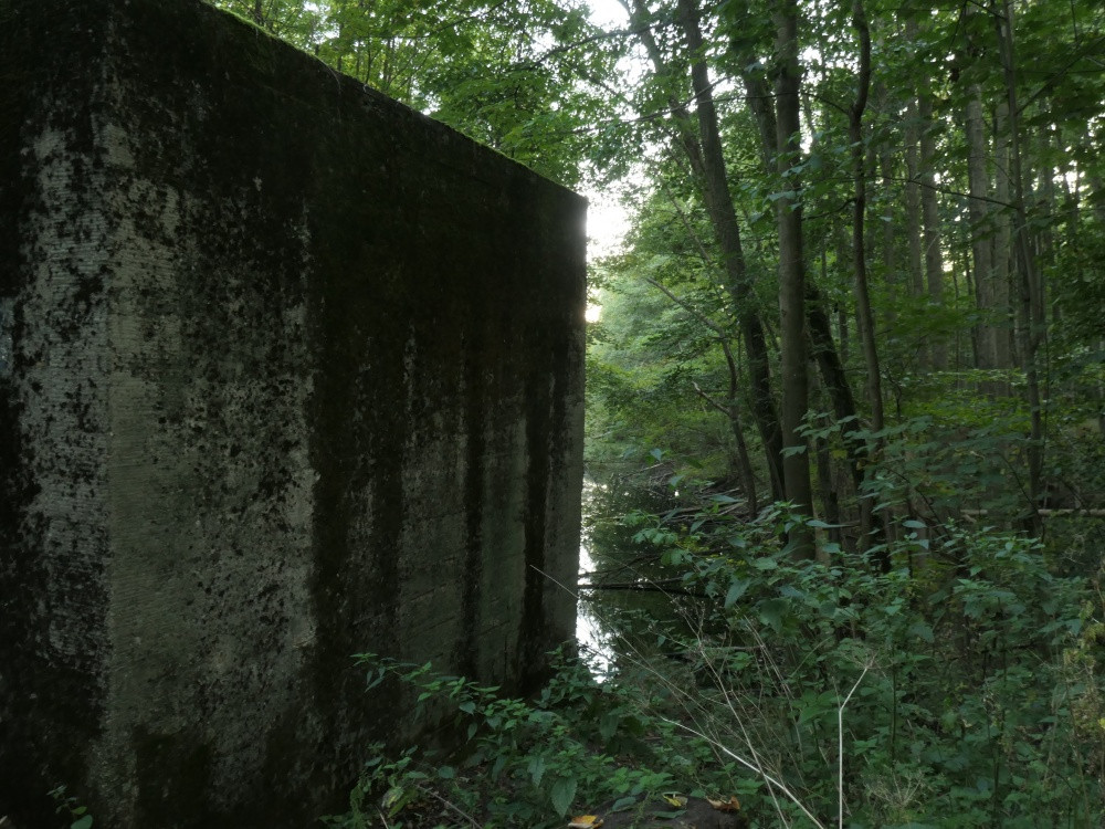 Klicke auf die Grafik für eine vergrößerte Ansicht

Name: PANA6507_kl.jpg
Ansichten: 318
Größe: 268,4 KB
ID: 3347809