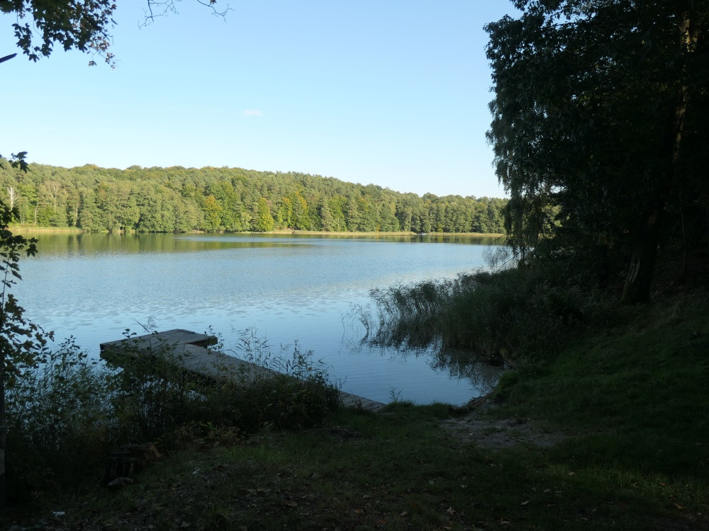 Klicke auf die Grafik für eine vergrößerte Ansicht

Name: PANA6500_kl.jpg
Ansichten: 315
Größe: 217,4 KB
ID: 3347815