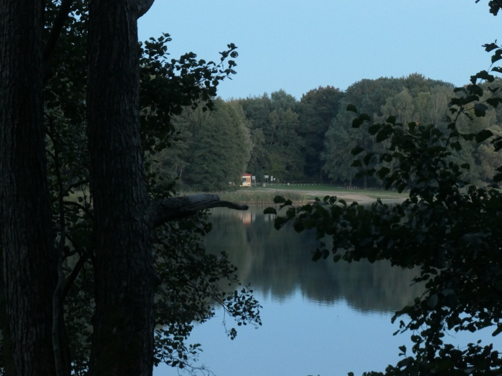 Klicke auf die Grafik für eine vergrößerte Ansicht

Name: PANA6510_kl.jpg
Ansichten: 312
Größe: 170,1 KB
ID: 3347810