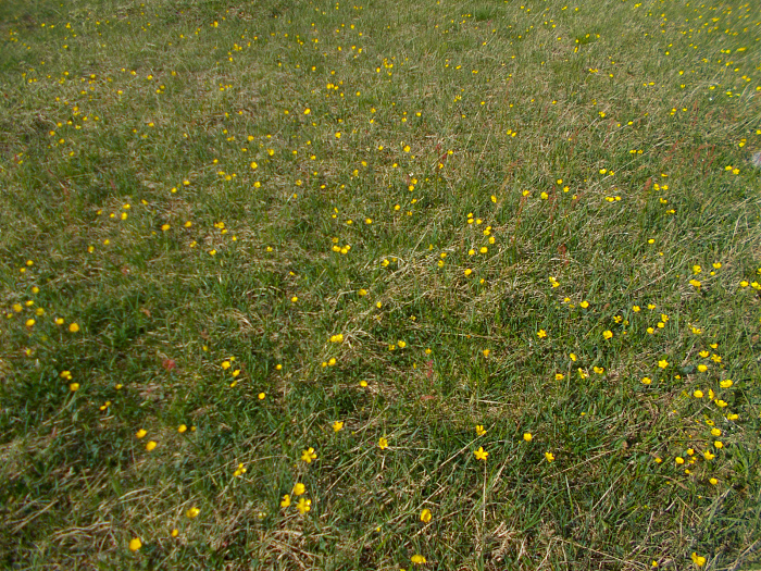 Klicke auf die Grafik für eine vergrößerte Ansicht

Name: DSCN0985.jpg
Ansichten: 211
Größe: 1,39 MB
ID: 3347913