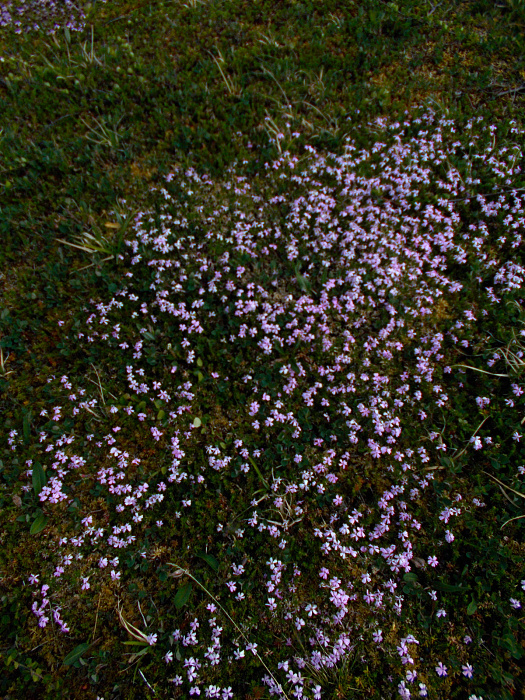 Klicke auf die Grafik für eine vergrößerte Ansicht

Name: DSCN1003.jpg
Ansichten: 208
Größe: 1,22 MB
ID: 3347920