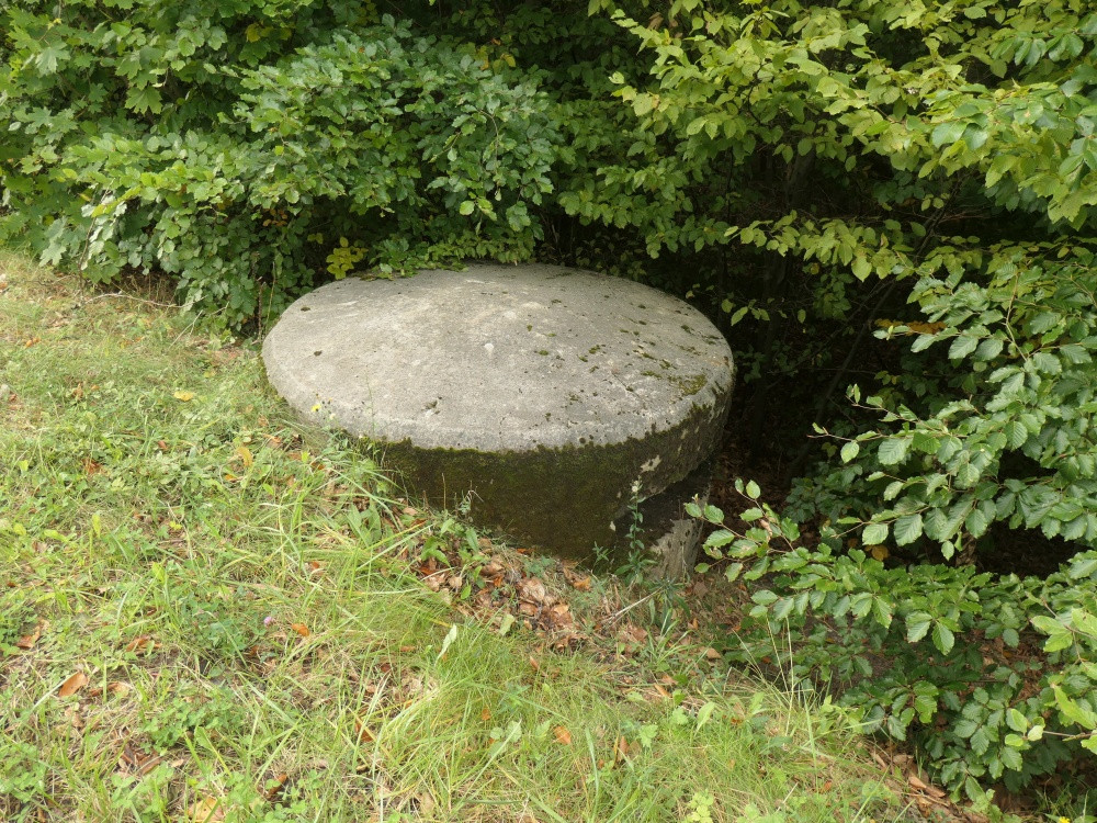 Klicke auf die Grafik für eine vergrößerte Ansicht  Name: PANA6526_kl.jpg Ansichten: 0 Größe: 429,0 KB ID: 3347941