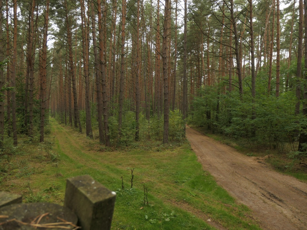 Klicke auf die Grafik für eine vergrößerte Ansicht  Name: PANA6533_kl.jpg Ansichten: 0 Größe: 335,4 KB ID: 3347945