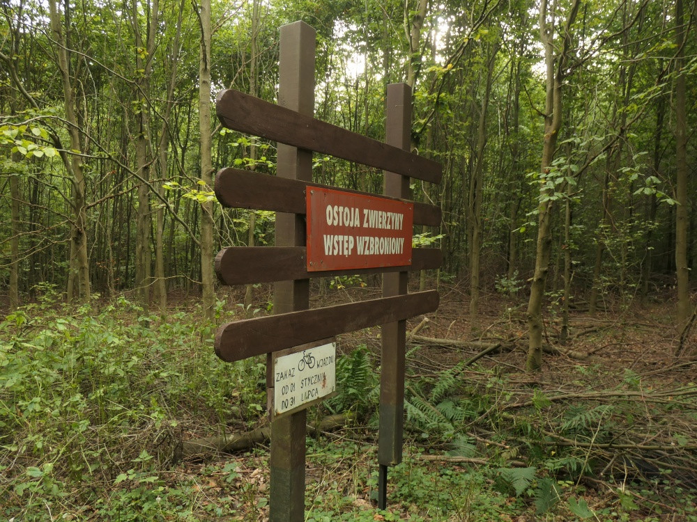 Klicke auf die Grafik für eine vergrößerte Ansicht  Name: PANA6532_kl.jpg Ansichten: 0 Größe: 394,9 KB ID: 3347948