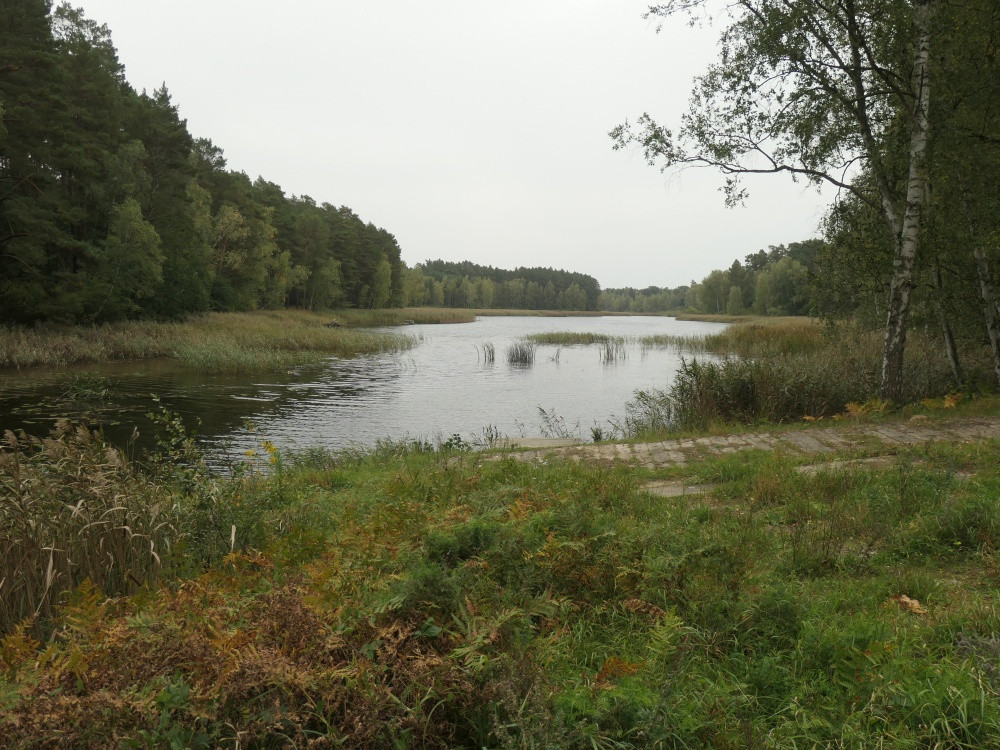 Klicke auf die Grafik für eine vergrößerte Ansicht  Name: PANA6536_kl.jpg Ansichten: 0 Größe: 289,5 KB ID: 3347949