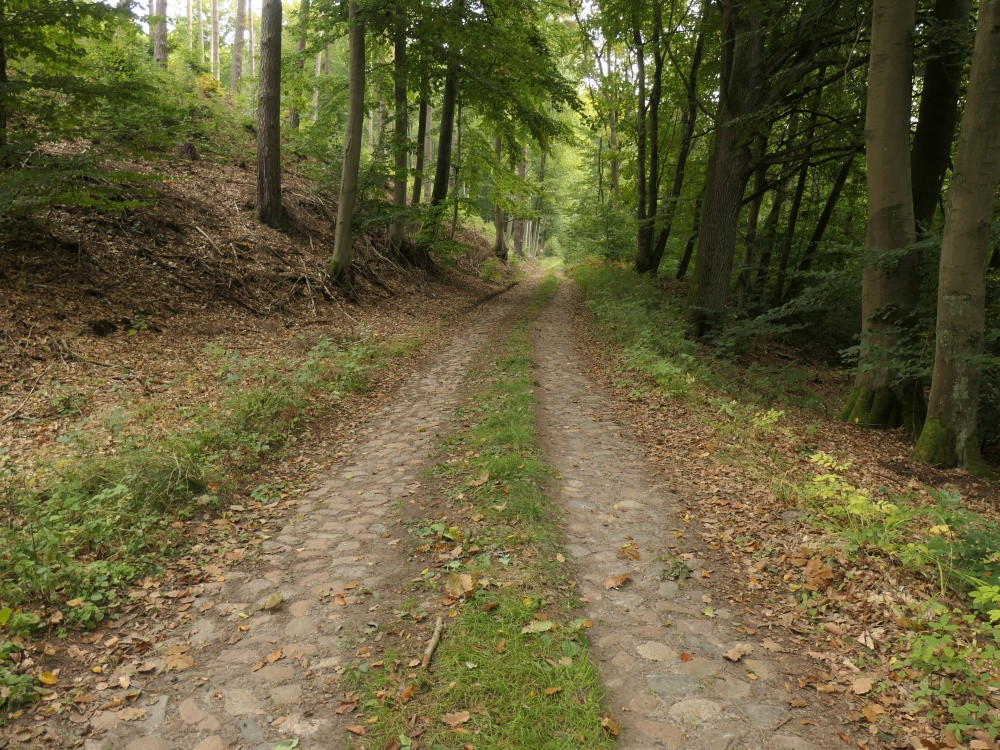 Klicke auf die Grafik für eine vergrößerte Ansicht  Name: PANA6529_kl.jpg Ansichten: 0 Größe: 400,5 KB ID: 3347951