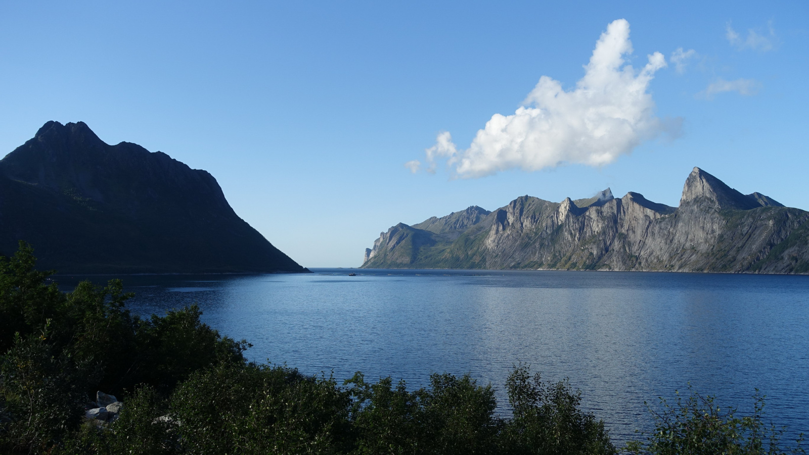 Klicke auf die Grafik für eine vergrößerte Ansicht

Name: 2025 Norge 0350.jpg
Ansichten: 116
Größe: 507,6 KB
ID: 3348139