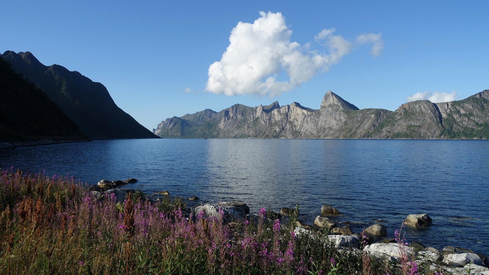 Klicke auf die Grafik für eine vergrößerte Ansicht

Name: 2025 Norge 0354.jpg
Ansichten: 118
Größe: 662,0 KB
ID: 3348143