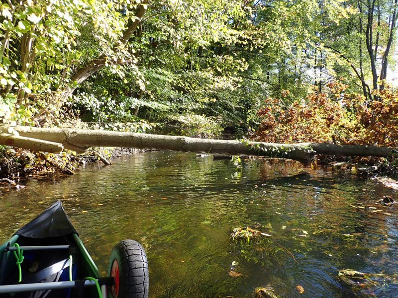 Baumhindernis bei Rastorf