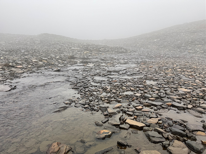 Klicke auf die Grafik für eine vergrößerte Ansicht

Name: IMG_5472.jpg
Ansichten: 207
Größe: 861,4 KB
ID: 3348865