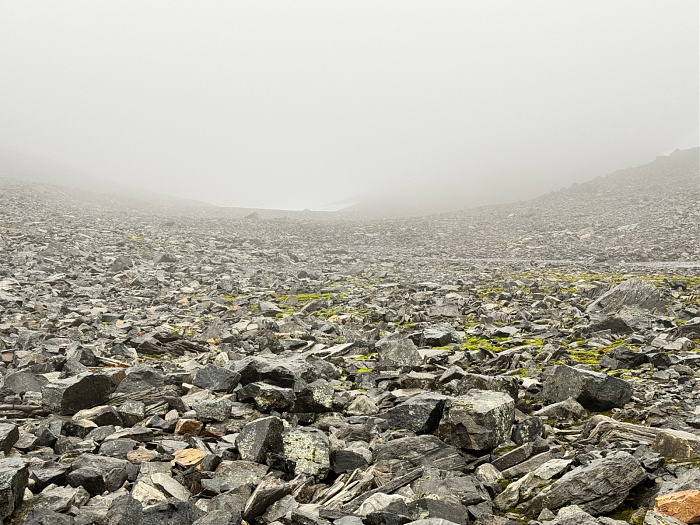 Klicke auf die Grafik für eine vergrößerte Ansicht

Name: IMG_5486.jpg
Ansichten: 206
Größe: 920,8 KB
ID: 3348866