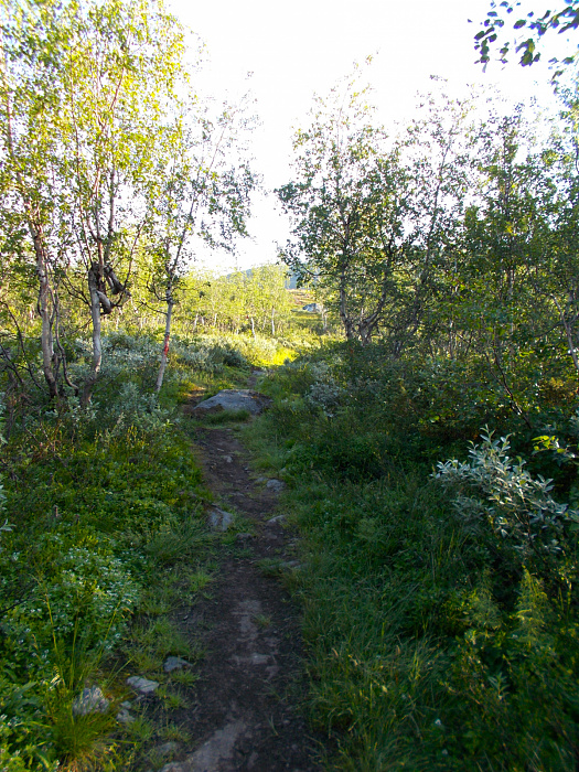 Klicke auf die Grafik für eine vergrößerte Ansicht

Name: DSCN1245.jpg
Ansichten: 49
Größe: 1,24 MB
ID: 3349161