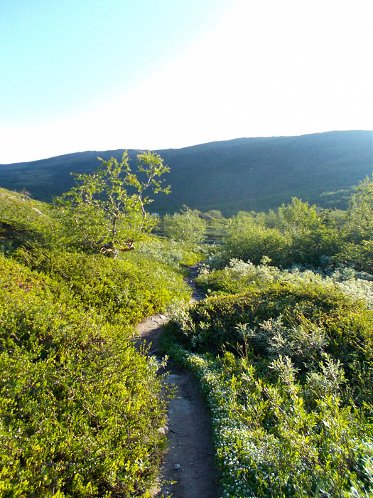 Klicke auf die Grafik für eine vergrößerte Ansicht

Name: DSCN1248.jpg
Ansichten: 49
Größe: 1,13 MB
ID: 3349163