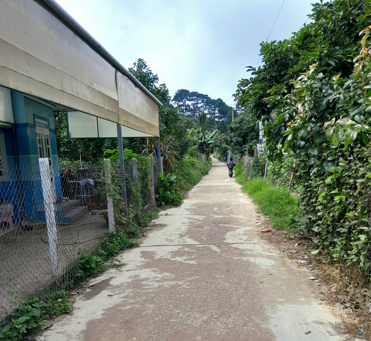 Klicke auf die Grafik für eine vergrößerte Ansicht

Name: Thap Cham - Da Lat A.jpg
Ansichten: 85
Größe: 563,1 KB
ID: 3349245