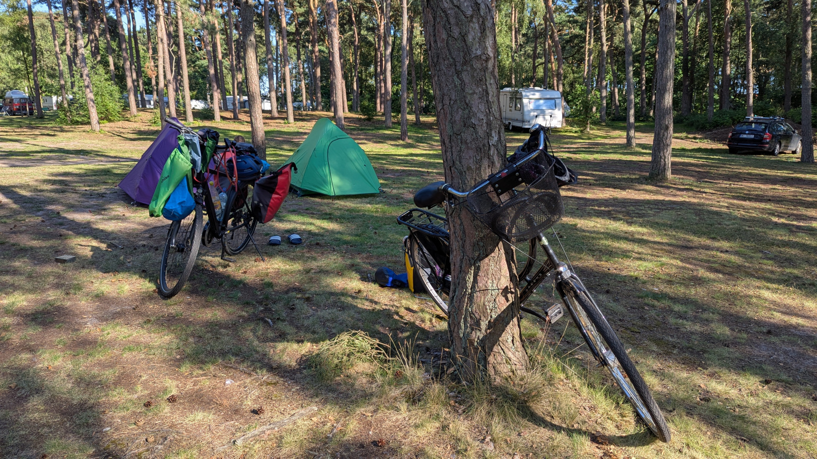 Klicke auf die Grafik für eine vergrößerte Ansicht

Name: PXL_20250713_153213538.jpg
Ansichten: 142
Größe: 1,10 MB
ID: 3349526