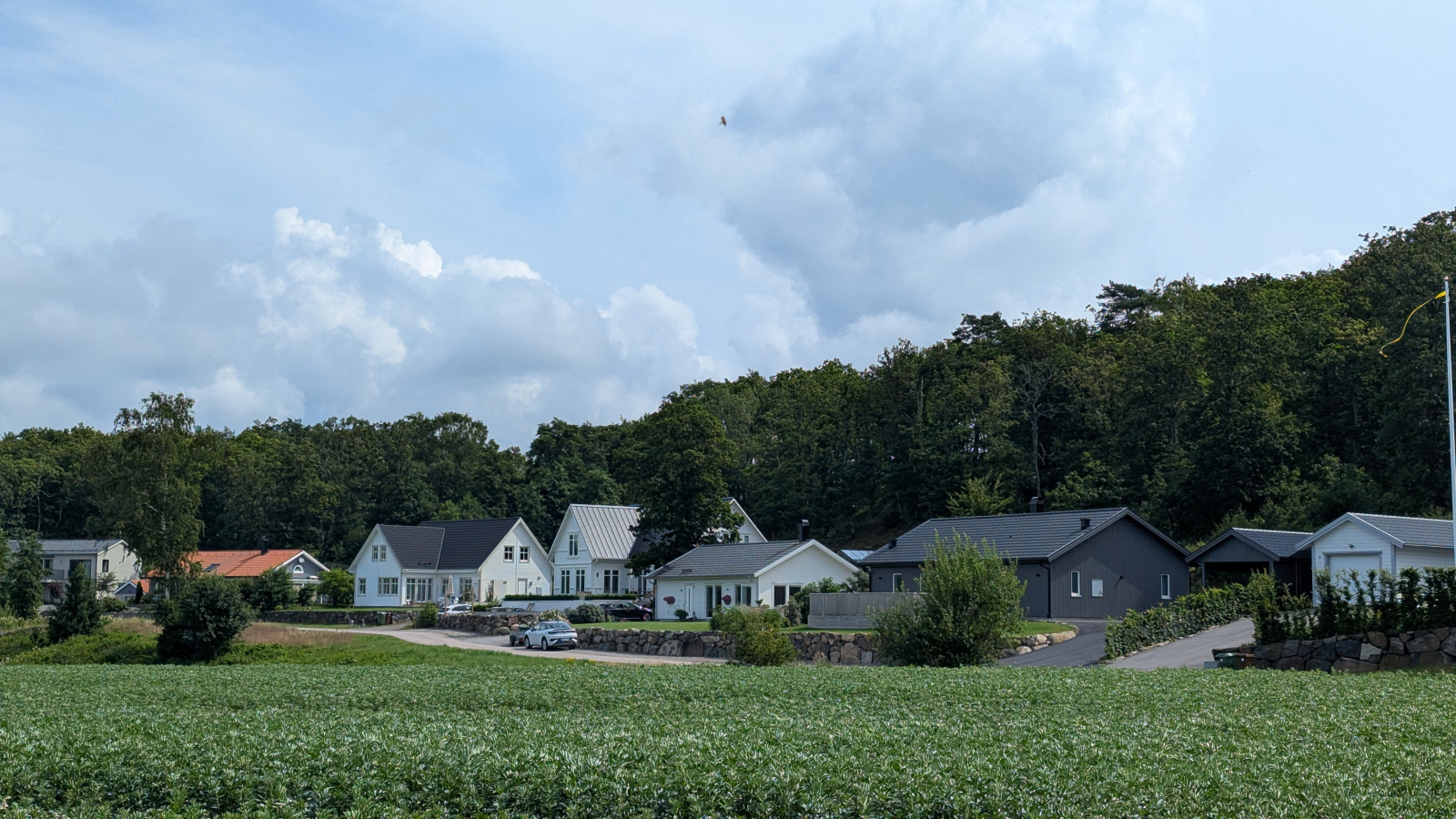 Klicke auf die Grafik für eine vergrößerte Ansicht

Name: PXL_20250716_091815756.jpg
Ansichten: 137
Größe: 671,0 KB
ID: 3349548