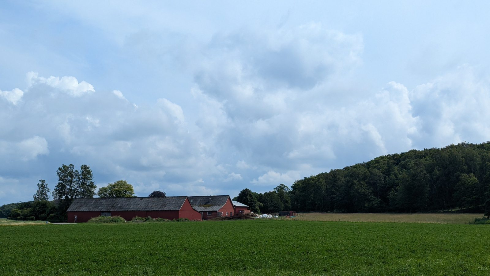 Klicke auf die Grafik für eine vergrößerte Ansicht

Name: PXL_20250716_091907624.jpg
Ansichten: 134
Größe: 433,0 KB
ID: 3349549