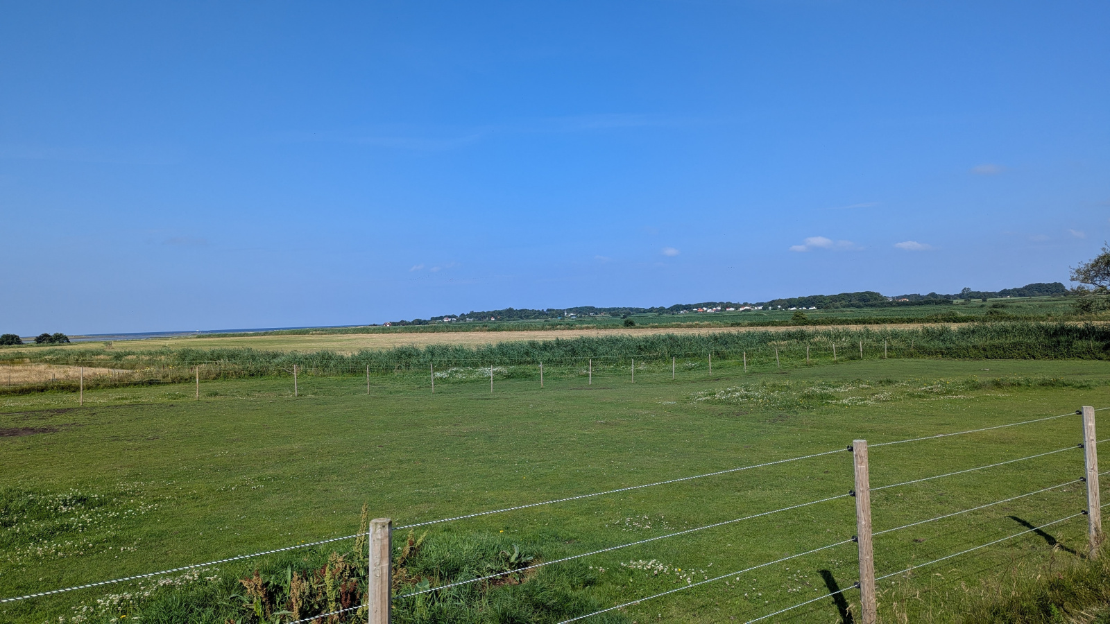 Klicke auf die Grafik für eine vergrößerte Ansicht

Name: PXL_20250717_073837332.jpg
Ansichten: 134
Größe: 594,6 KB
ID: 3349558