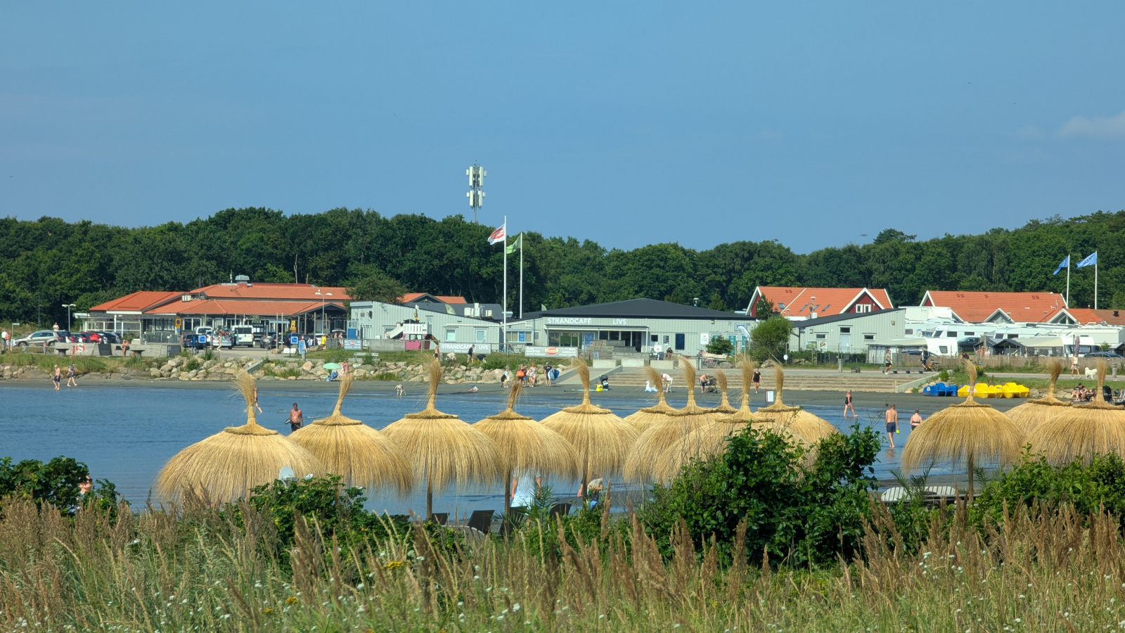 Klicke auf die Grafik für eine vergrößerte Ansicht

Name: PXL_20250717_081901276.jpg
Ansichten: 133
Größe: 686,6 KB
ID: 3349559