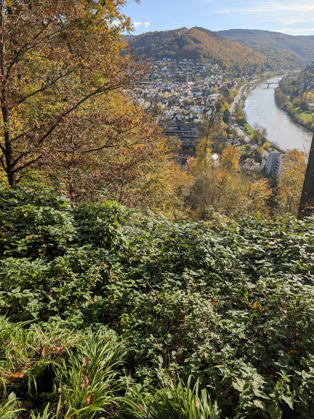 Klicke auf die Grafik für eine vergrößerte Ansicht  Name: PXL_20251029_095256851.jpg Ansichten: 0 Größe: 1,46 MB ID: 3349581