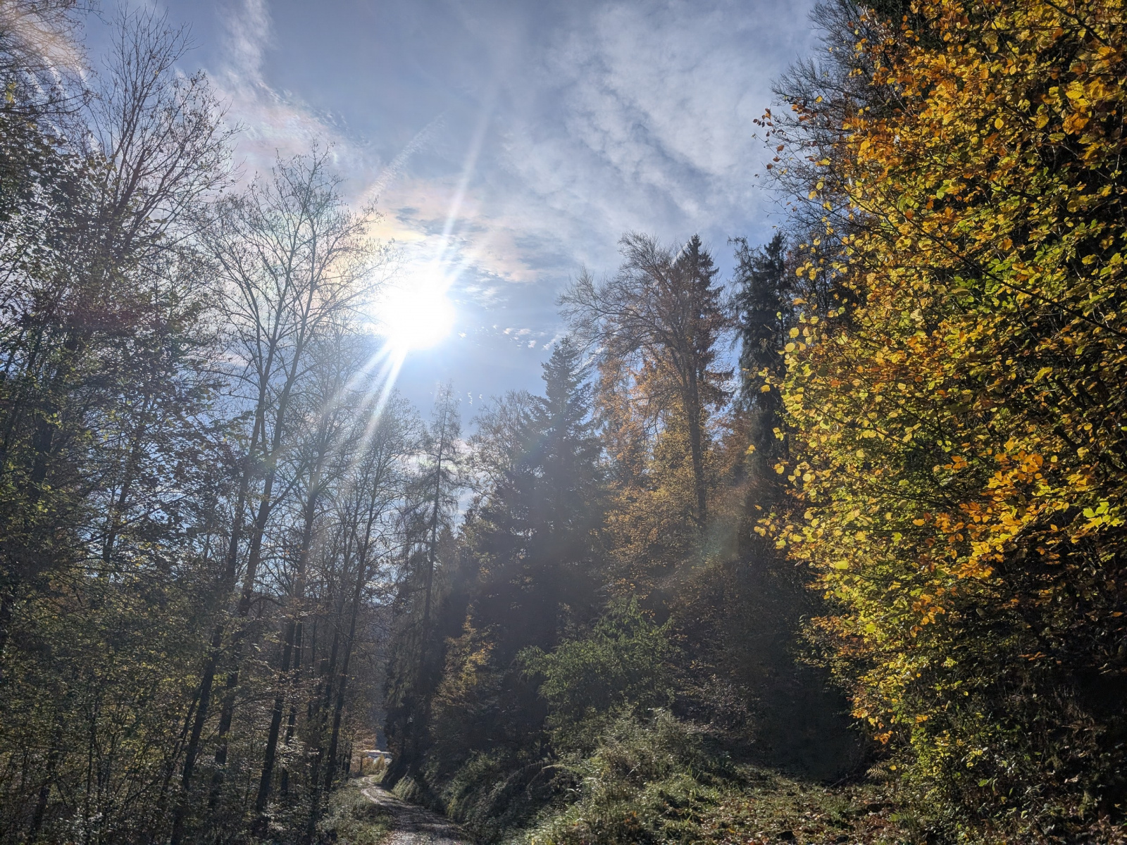 Klicke auf die Grafik für eine vergrößerte Ansicht  Name: PXL_20251029_092424473.jpg Ansichten: 0 Größe: 1,27 MB ID: 3349584