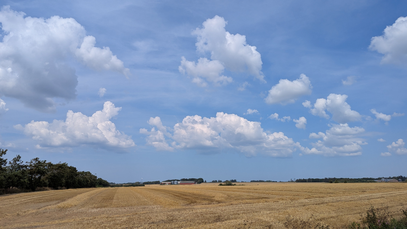 Klicke auf die Grafik für eine vergrößerte Ansicht

Name: PXL_20250720_123010186.jpg
Ansichten: 96
Größe: 437,8 KB
ID: 3349636