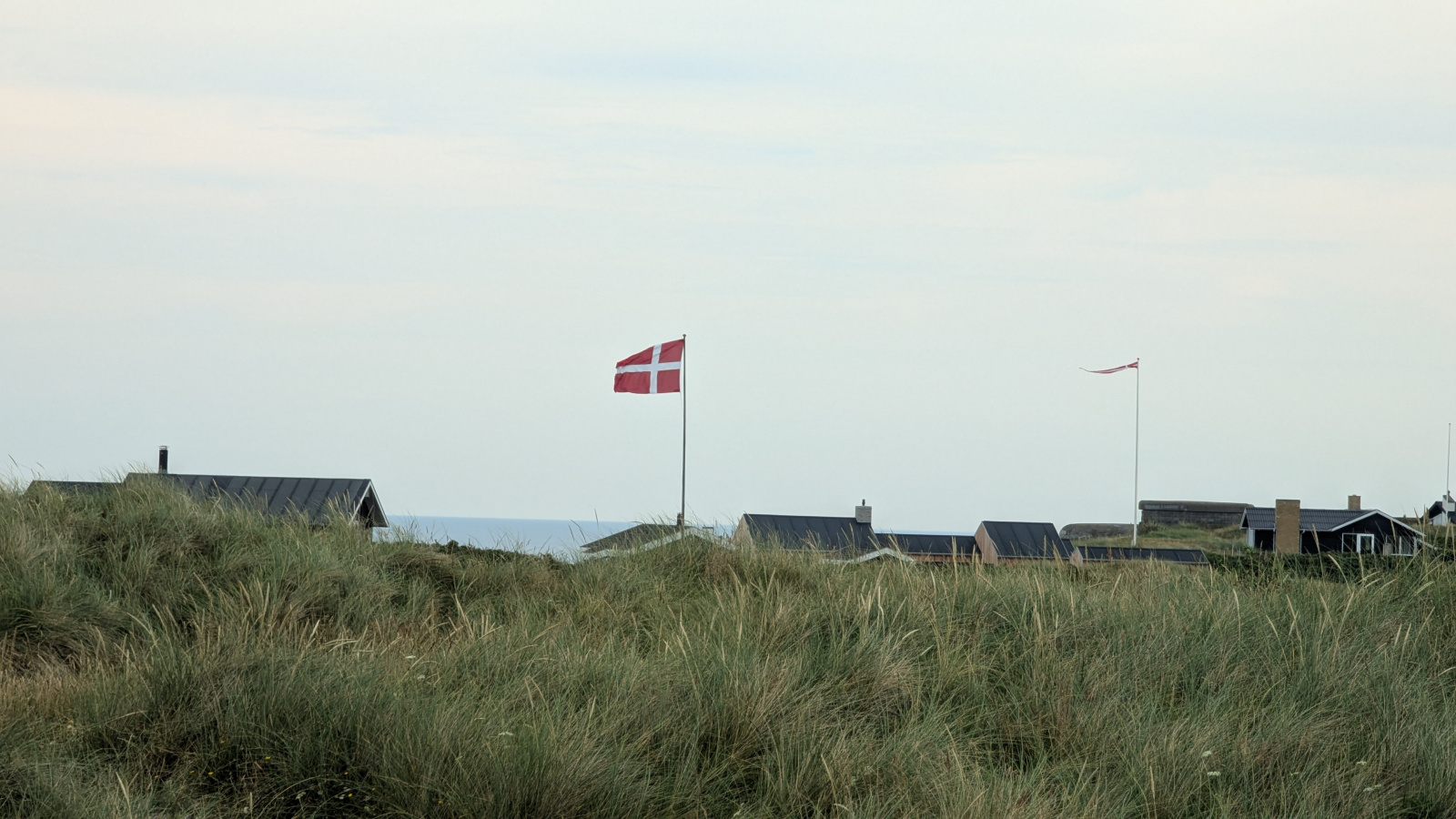 Klicke auf die Grafik für eine vergrößerte Ansicht

Name: PXL_20250721_071740414.jpg
Ansichten: 98
Größe: 464,3 KB
ID: 3349641