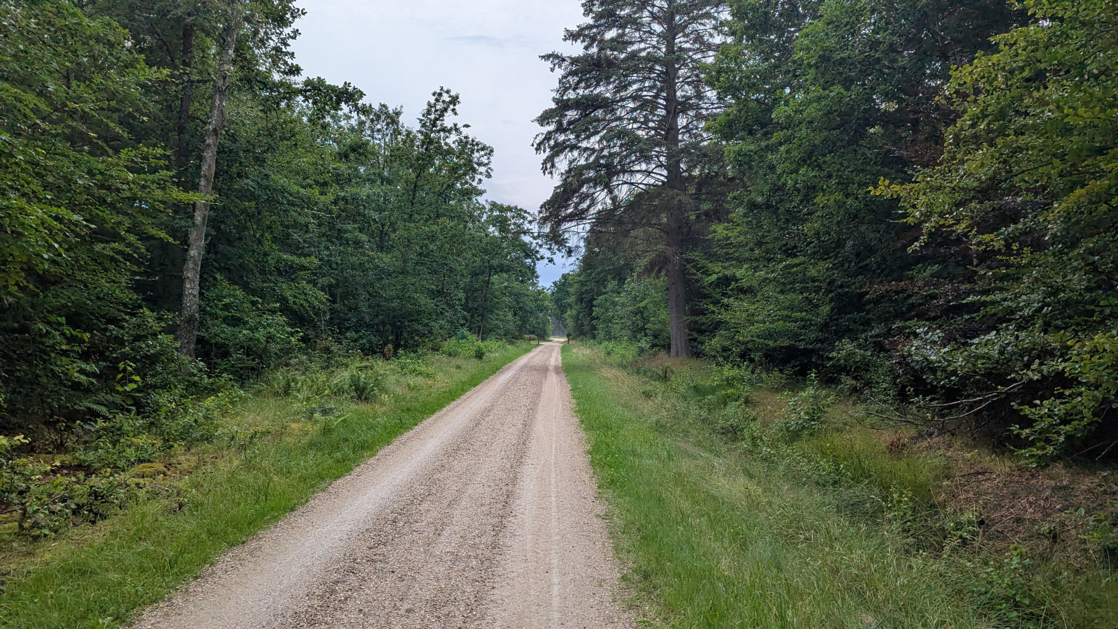 Klicke auf die Grafik für eine vergrößerte Ansicht

Name: PXL_20250721_104907814.jpg
Ansichten: 98
Größe: 1,02 MB
ID: 3349644