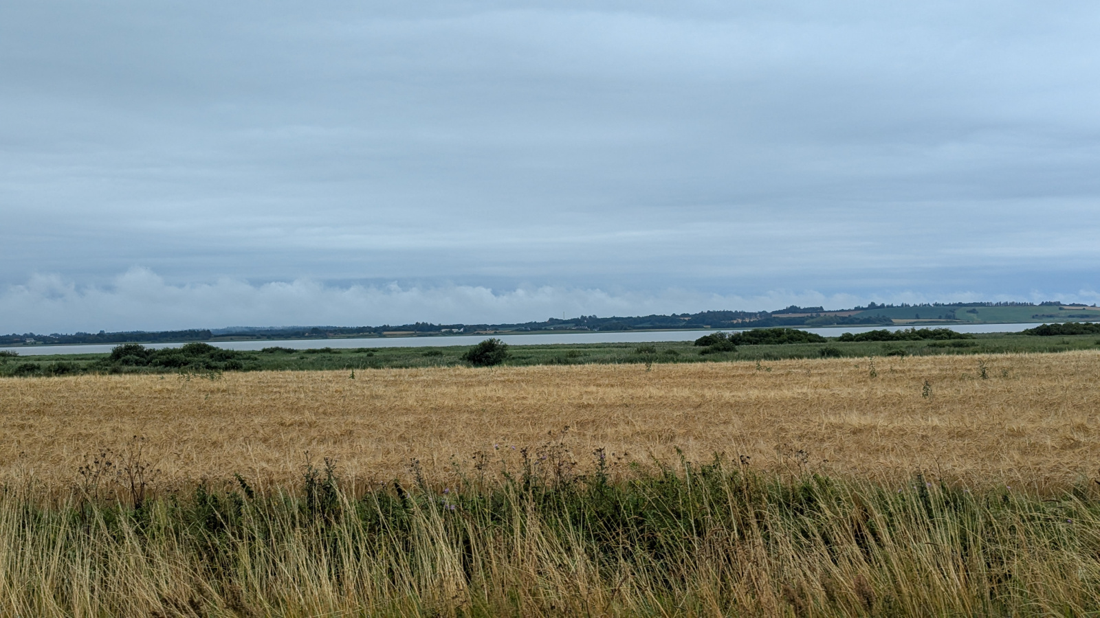 Klicke auf die Grafik für eine vergrößerte Ansicht

Name: PXL_20250722_083041673.jpg
Ansichten: 97
Größe: 578,7 KB
ID: 3349648