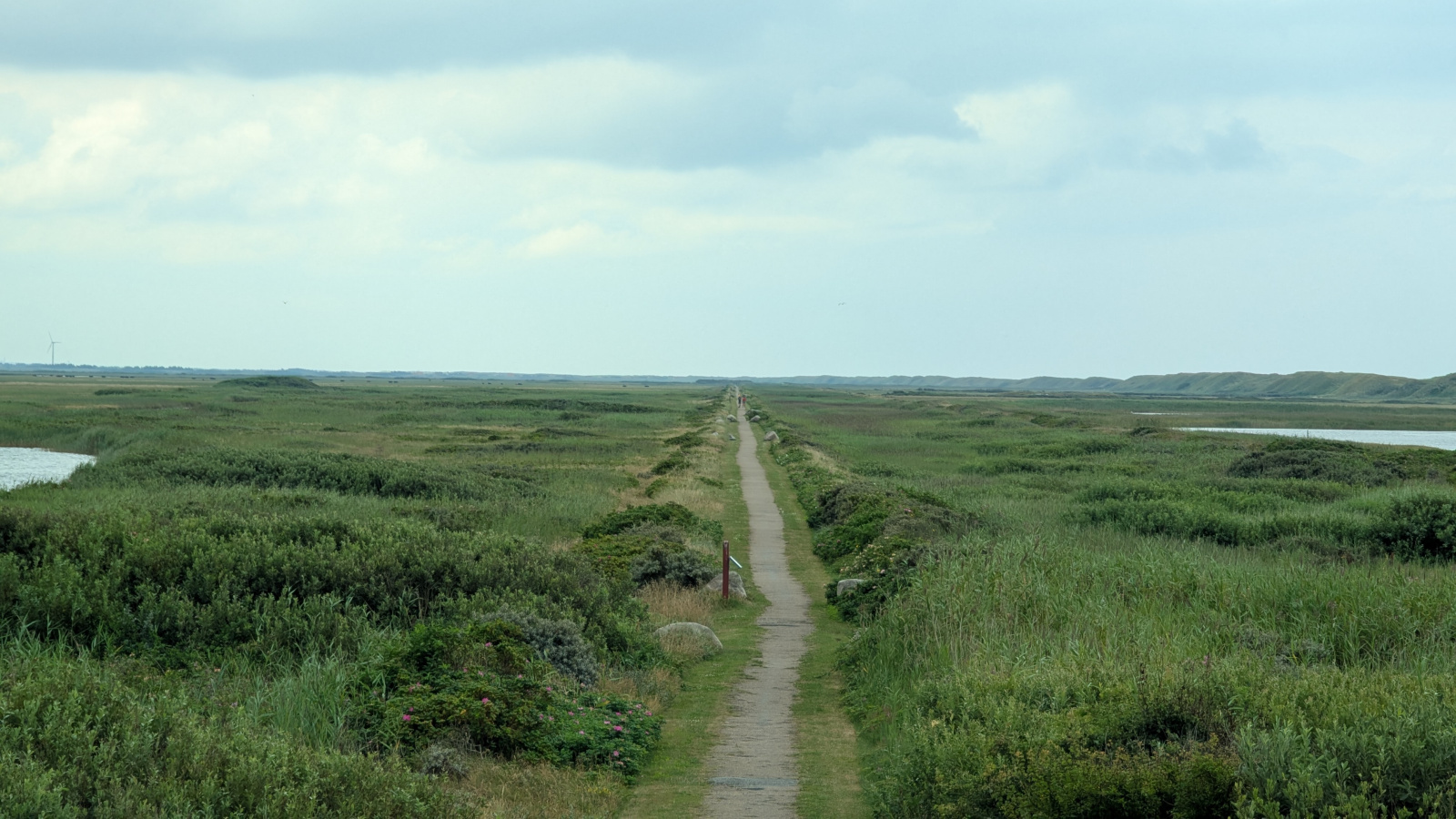 Klicke auf die Grafik für eine vergrößerte Ansicht

Name: PXL_20250723_101902325.jpg
Ansichten: 99
Größe: 554,6 KB
ID: 3349655