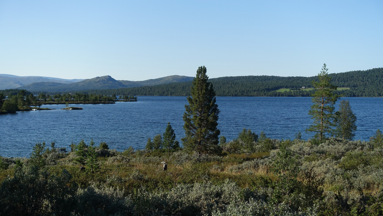 Klicke auf die Grafik für eine vergrößerte Ansicht  Name: 2025 Norge 0450_resize.jpg Ansichten: 0 Größe: 689,6 KB ID: 3349807