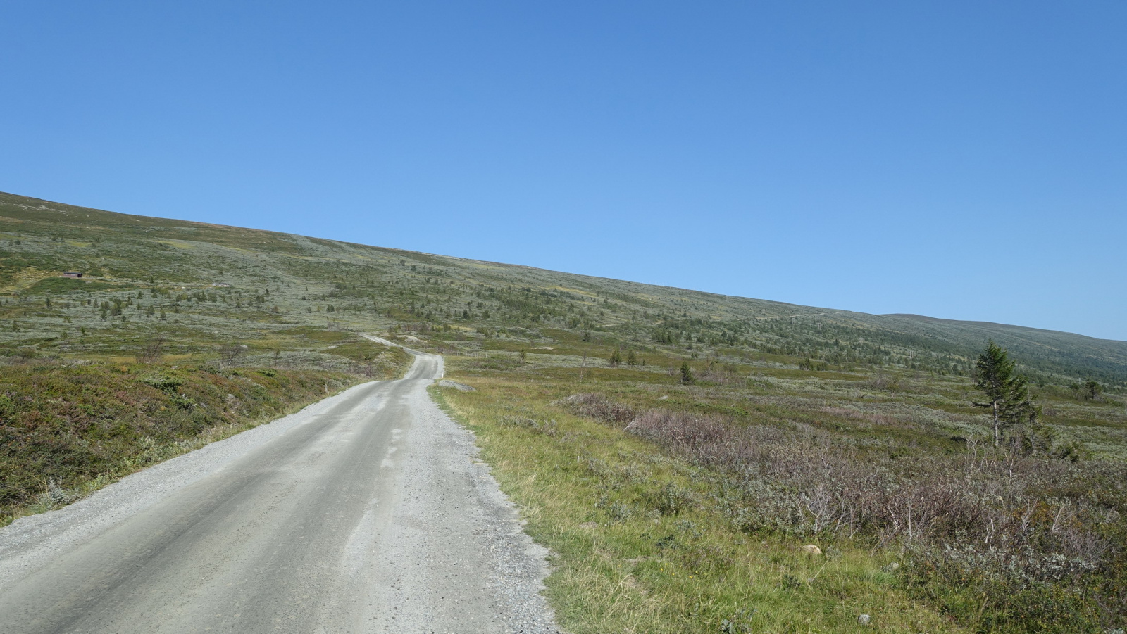 Klicke auf die Grafik für eine vergrößerte Ansicht

Name: 2025 Norge 0459.jpg
Ansichten: 316
Größe: 589,4 KB
ID: 3349818